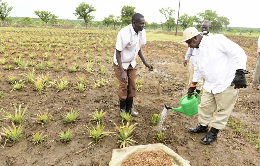 President Museveni to officially open the Agric show tomorrow The president of Uganda Farmers Federation Dick Nuwamanya Kamuganga has said President Yoweri Kauguta Museveni is expected to officially open the 26th National Agricultural trade show in Jinja.