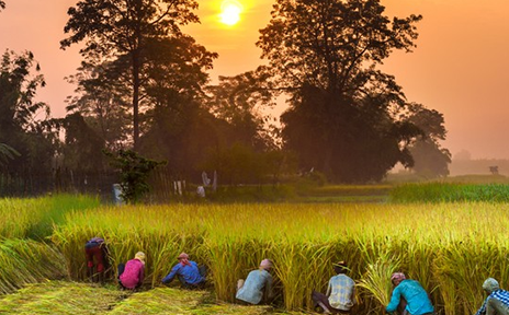Funding opportunities with DFID in East Africa