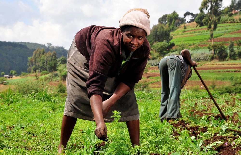 EAC small scale farmers to Benefit from a $5m capital loan: Small scale farmers from the East African Community will have reason to smile after Calvert Impact Capital