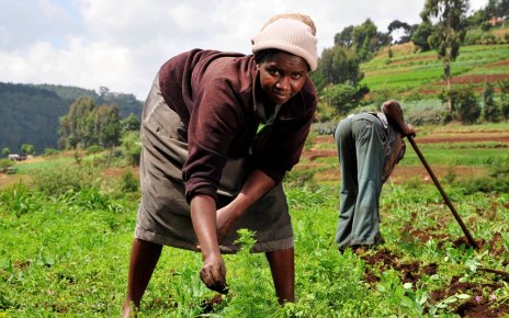 EAC small scale farmers to Benefit from a $5m capital loan: Small scale farmers from the East African Community will have reason to smile after Calvert Impact Capital
