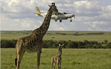 Tanzania’s tourism is facing a pricing crisis causing the frustration of a multi-billion-dollar industry that wants to grow by leaps and bounds.