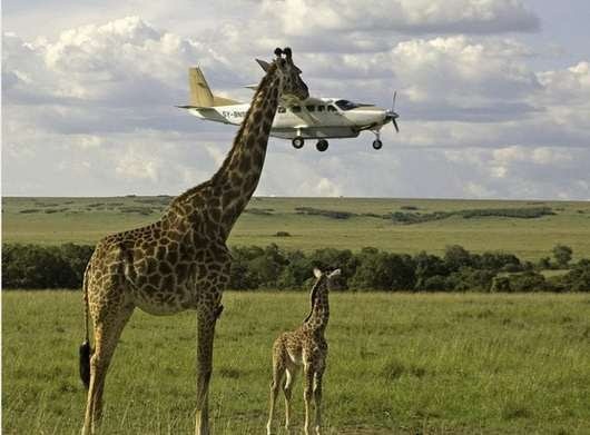 Tanzania’s tourism is facing a pricing crisis causing the frustration of a multi-billion-dollar industry that wants to grow by leaps and bounds.
