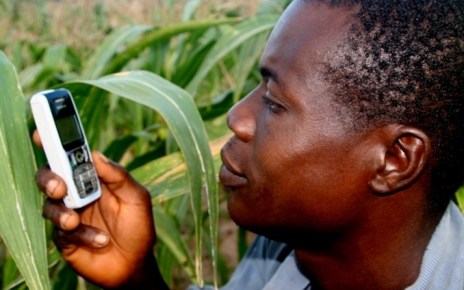 A new report from Wefarm one of the world largest farmer to farmer digital network indicates that 1.1 Million farmers both in Uganda and Kenya are embracing