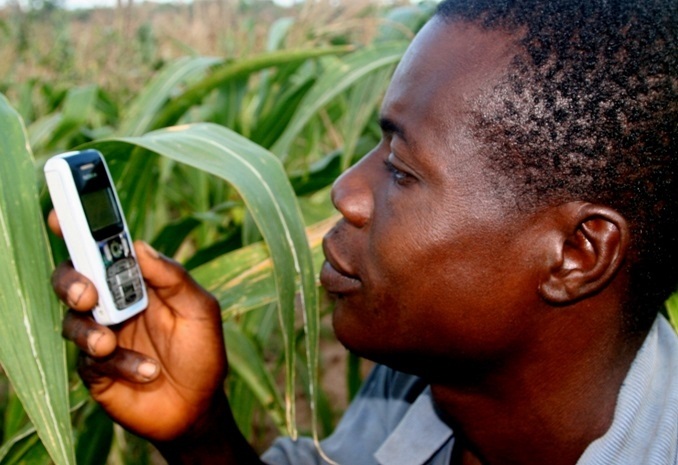 A new report from Wefarm one of the world largest farmer to farmer digital network indicates that 1.1 Million farmers both in Uganda and Kenya are embracing