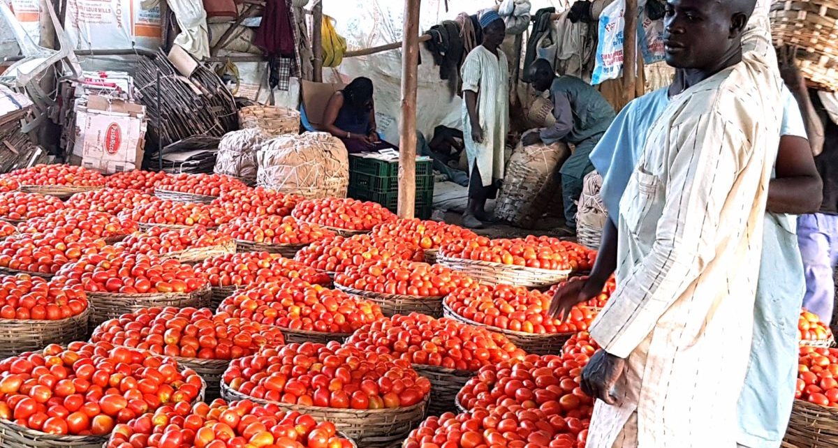 Estimates by the Economic Commission for Africa indicate that African Continental Free Trade Area has the potential to boost intra-African trade by eliminating import duties, and double trade – if non-tariff barriers are also reduced.