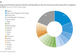 In 2017, an estimated half of at-risk people in Africa did not sleep under a treated net.