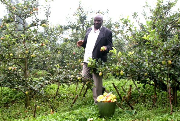 Agriculture can provide jobs to Uganda’s unemployed youth if well harnessed, according to the twelfth Uganda Economic Update published today by the World Bank.