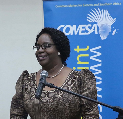Preparations for the signing of a 53 Million Euros trade facilitation facility between COMESA and the European Union are complete.