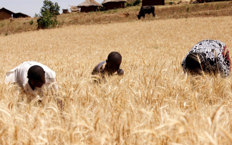 Uganda’s economy has rebounded strongly to 6.1% in FY17/18, up from 3.9% the previous year, and the country’s positive growth is expected to continue, according to the latest edition of the Uganda Economic Update released by the World Bank.