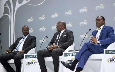 ‘Grab the Chance to Fast-track Development,’ Adesina tells Africa Investment Forum