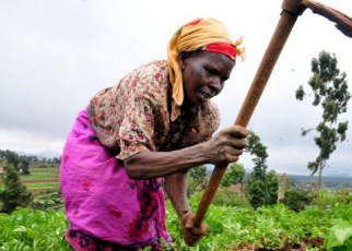 Farmers from within the East African Community have asked EALA Speaker to add on the agenda of discussions, to be discussed by EAC Presidents