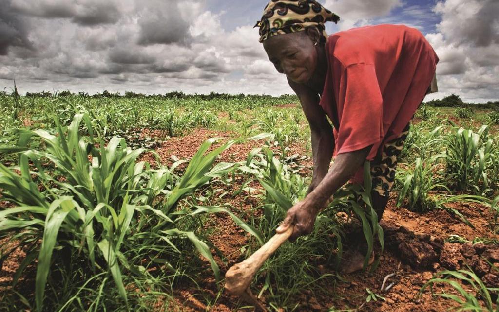 African leaders agreed in Maputo, Mozambique, in 2003 to refocus national attention to building stronger, more dynamic agriculture sectors.