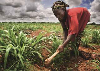 African leaders agreed in Maputo, Mozambique, in 2003 to refocus national attention to building stronger, more dynamic agriculture sectors.