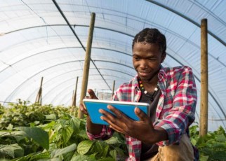 According to experts, the African population is expected to double by 2050, which means that food demand on the continent is expected to at least double by then.