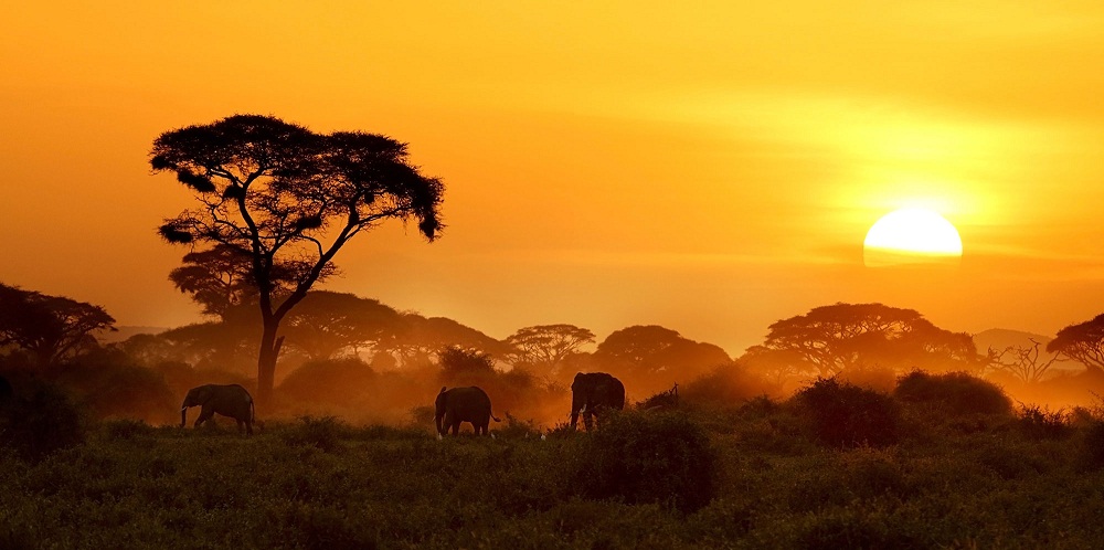 Serena Hotels and Mettle Solar OFGEN have opened Kenya’s first Fully Solar Powered Lodge.