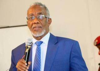 Somaliland Foreign affairs and international cooperation minister Yasin Mohammed Hiir has said his country is interested in opening its doors on foreign investors
