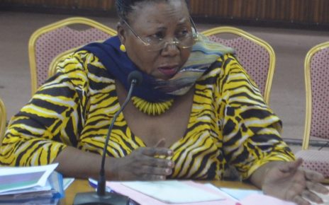 Syda Bbumba, a member on the Natural resources Committee in Parliament observed that adding majority of Ugandans onto the national grid will foster economic growth in most parts of the country