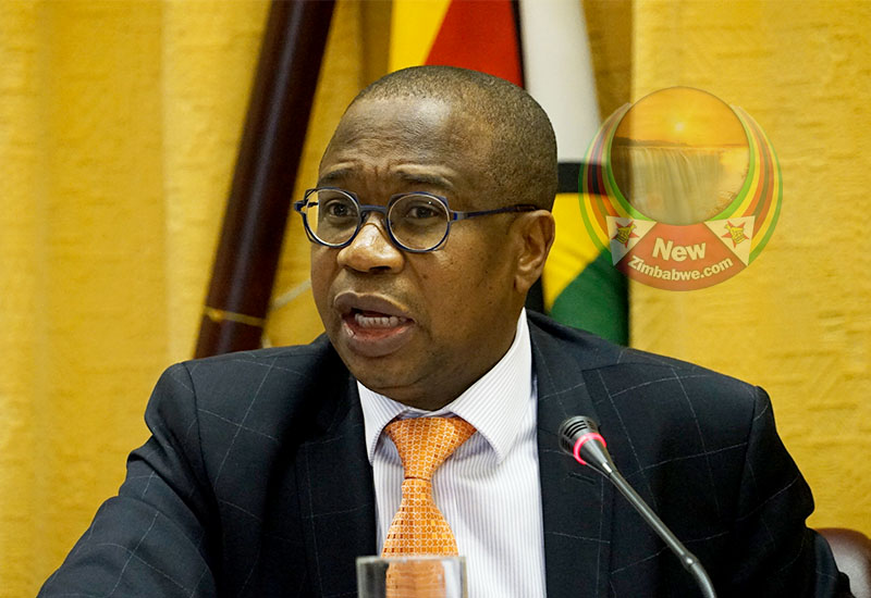 Ncube said adopting the U.S. dollar or the South African rand would not solve the country's macro-economic problems.