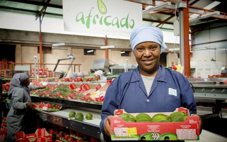 Africado was established in 2007 as Tanzania’s first commercial and international grade producer of avocados.