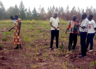 ESAFF Uganda chairperson (in yellow T-shirt) listening to the explanation from the coordinator of the Ajee Group during the farm tour