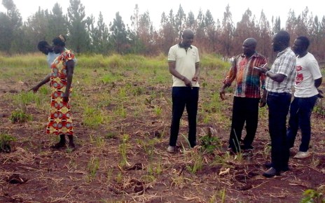 ESAFF Uganda chairperson (in yellow T-shirt) listening to the explanation from the coordinator of the Ajee Group during the farm tour