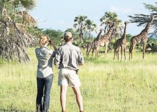 According to the Bank of Tanzania Monthly Economic Review report, the tourism industry was the main source of foreign exchange receipts by Tanzania in 2018.