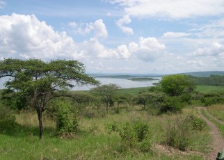 The lawmakers unanimously approved the upgrading of Biharamuro, Burigi, Kimisi, Ibanda and Rumanyika game reserves to national parks