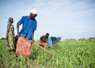 According to Andrew Adem, the ESAFF programmes manager, the meeting intends to empower women on how to fully participate in agriculture