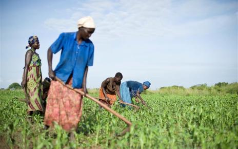 According to Andrew Adem, the ESAFF programmes manager, the meeting intends to empower women on how to fully participate in agriculture