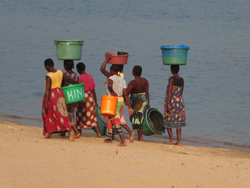 Cervical cancer has become one of the largest killers of women in the developing world
