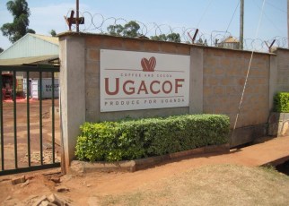 UGACOF, an agro-processing and value-addition business located in Bweyogere, Wakiso district was announced the winner of the 24th President Exporters’ Award for 2018.