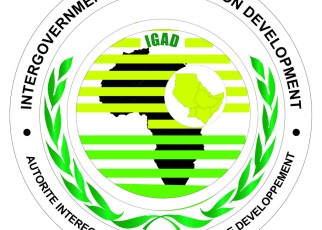 The IGAD initiative aims to develop a common position to boost security and economic interests in the region.