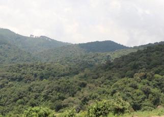 Gishwati Mukura National Park