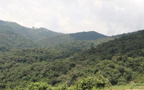 Gishwati Mukura National Park