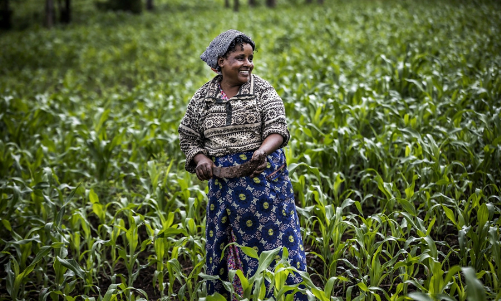 East African farmers and producers under their umbrella organization Fair-trade East and Central Africa Network have pointed out the lack of markets for their produces as a major hindrance towards them achieving the middle-income status.