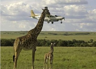 Tanzania tour operators are upbeat at the news that the government would execute the reforms highlighted on the blueprint to improve the business environment.