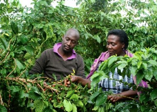 A report, “Fostering a sustainable agro-industrialization agenda in Uganda, has been launched with a call on the government to re-organize the scattered public resources to help finance agro-industrialization.