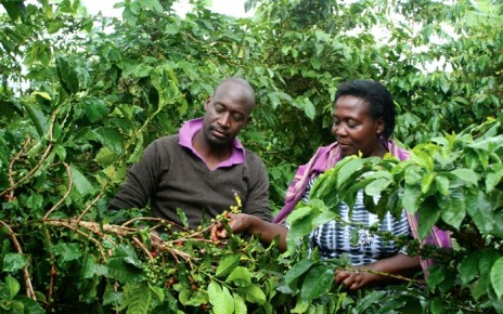 A report, “Fostering a sustainable agro-industrialization agenda in Uganda, has been launched with a call on the government to re-organize the scattered public resources to help finance agro-industrialization.