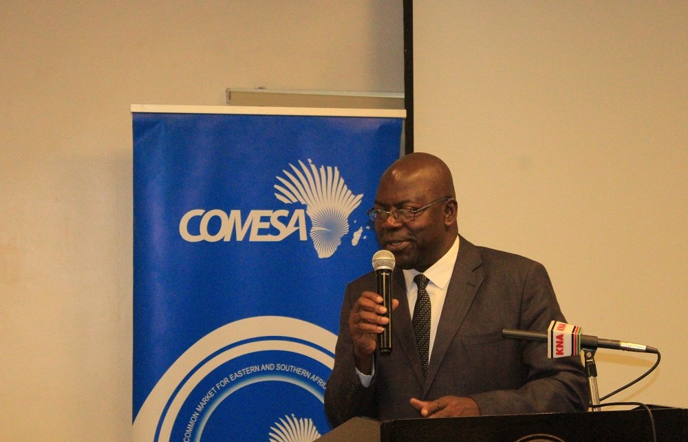 COMESA Director of Agriculture and Industry, Thierry Kalonji
