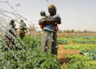 The report also warns that Africa needs to tackle the IT skills and digital literacy gap, especially amongst farmers