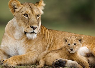 Serengeti National Park in Tanzania held onto first place, for the third year in a row.
