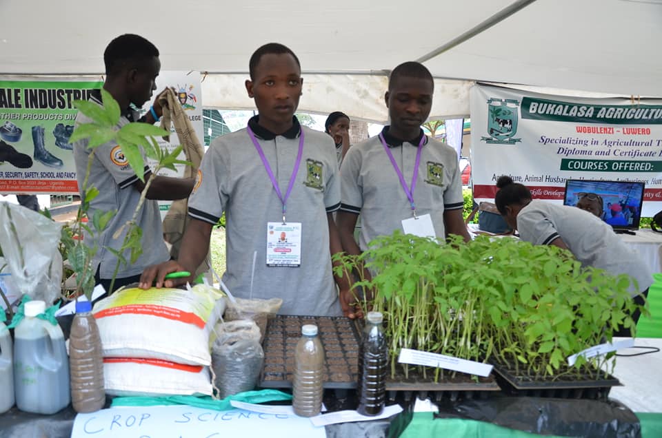 Students from Bukalasa Agriculture Institute displaying some of their crops at the show