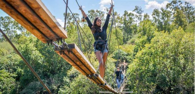 casela world of adventures