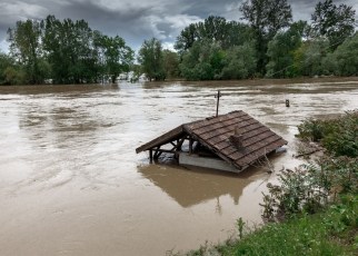 In a recent special report, the Intergovernmental Panel on Climate Change (IPCC) argues that addressing climate change will require fundamental changes to the way we manage forests and farmland.