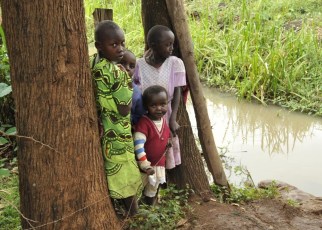 Merck, a science and technology company, has announced that, as part of its integrated Schistosomiasis Elimination Program, it is intensifying the Research & Development efforts for developing and providing access to transformative and sustainable health solutions to fight schistosomiasis also known as Bilharzia.