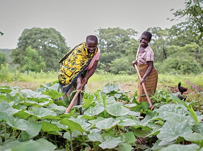 Support Rural Women to Adopt Organic Farming Practices, Activists asks Government