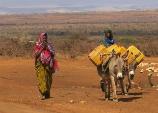 Around 425,000 people are estimated to be living in internal displacement in Ethiopia as a result of drought. Children and youth make up half of this figure.
