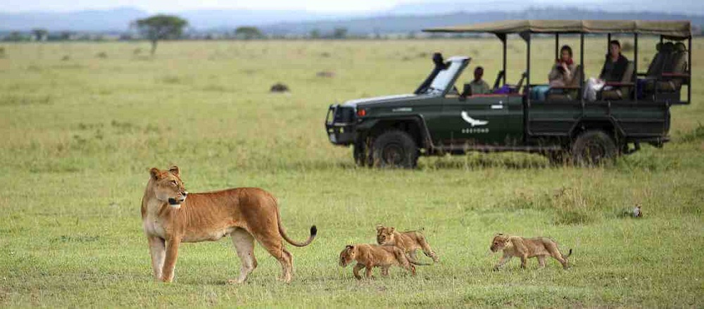 Sixty years ago, famous German wildlife conservationist and zoologist Professor Bernhard Grzimek and his son Michael proposed the formation of the Serengeti National Park and Ngorongoro Conservation Area, now the leading tourist magnets in East Africa.