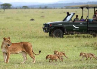 Sixty years ago, famous German wildlife conservationist and zoologist Professor Bernhard Grzimek and his son Michael proposed the formation of the Serengeti National Park and Ngorongoro Conservation Area, now the leading tourist magnets in East Africa.
