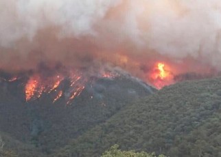 Owing to the smoke from nearby wildfires, Canberra this month has had the world’s worst air-quality index, with readings 20 times above the official hazardous threshold.